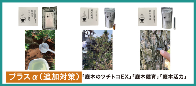 基本セット（庭木のツチトコと庭木元気）使用後、プラス対策する場合