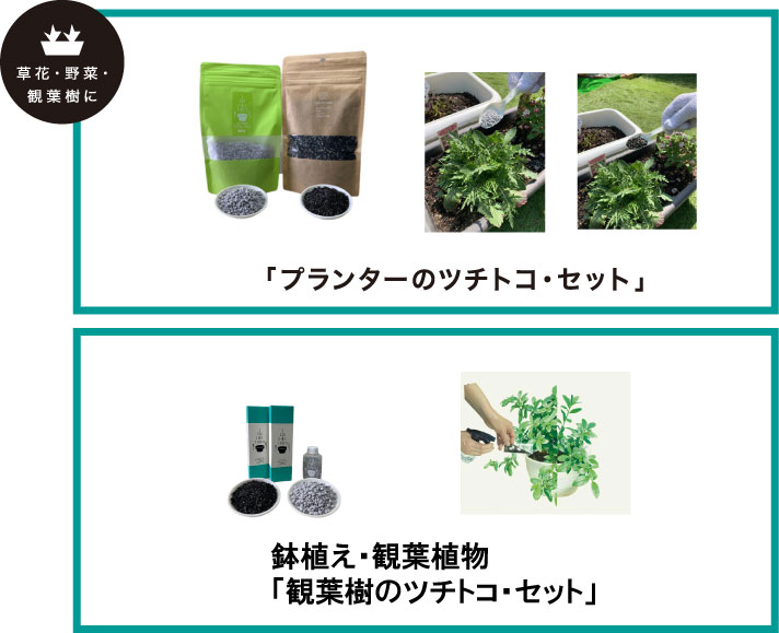 プランターのツチトコセットと観葉植物のツチトコセット